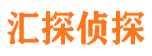 武川侦探